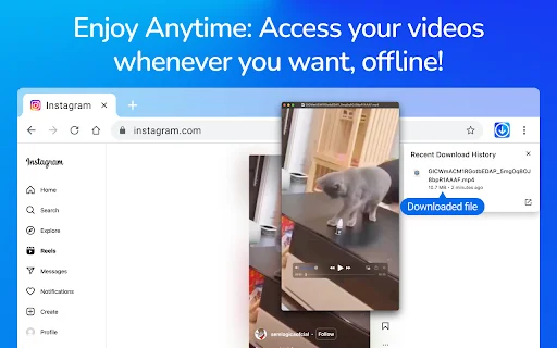 Video Downloader Pro डाउनलोड करें – ऑनलाइन वीडियो सेव करने का आसान टूल - Screenshot 5