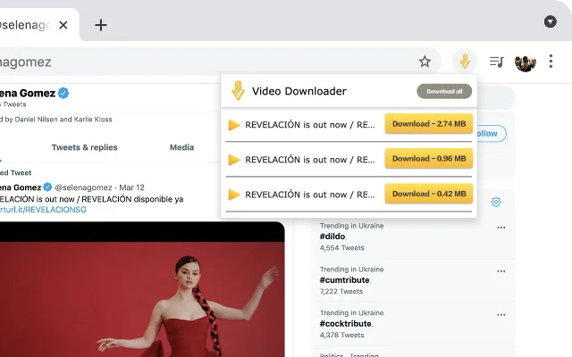 Video Downloader Web डाउनलोड करें – किसी भी वेबसाइट से HD वीडियो - Screenshot 1