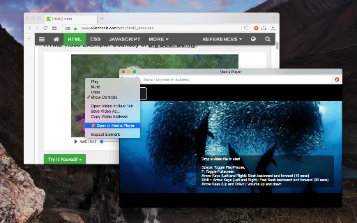 MediaPlayer डाउनलोड करें – ब्राउज़र में वीडियो और ऑडियो चलाएं - Screenshot 1