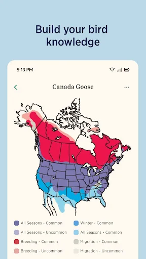 Audubon Bird Guide डाउनलोड करें – 800+ पक्षियों की पहचान करें - Screenshot 6