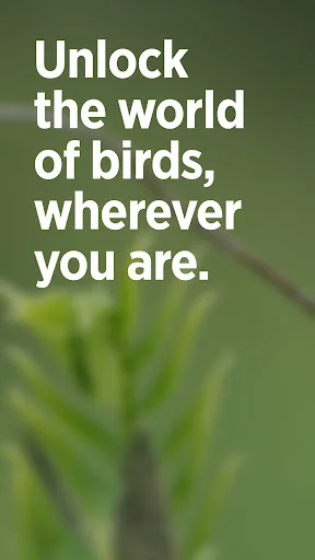 Audubon Bird Guide डाउनलोड करें – 800+ पक्षियों की पहचान करें - Screenshot 1